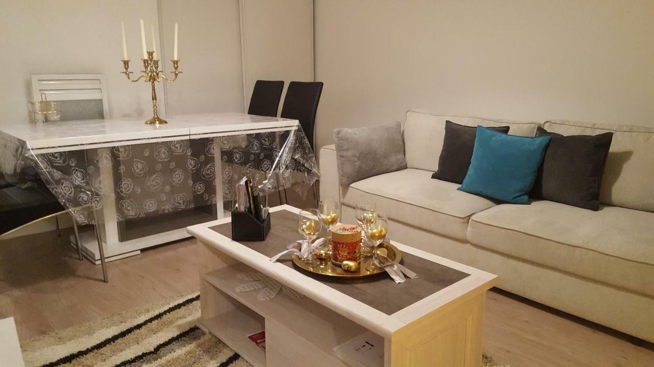 Appartement Spacieux Avec Terrasse Pres De Paris Et Du Stade De France Saint-Denis  Kültér fotó